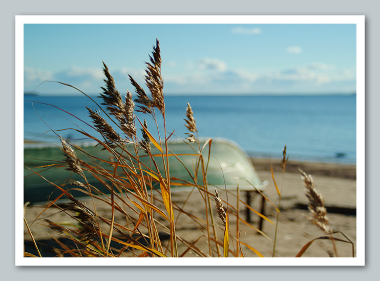 photo "Baltic#2" tags: landscape, autumn, water