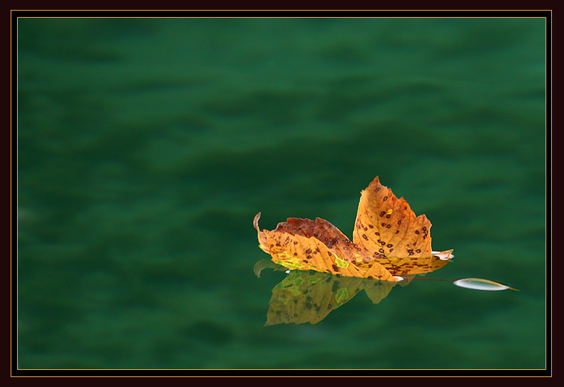 photo ".: summerend :." tags: landscape, nature, autumn