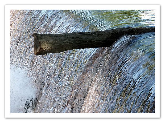 фото "standing" метки: разное, 