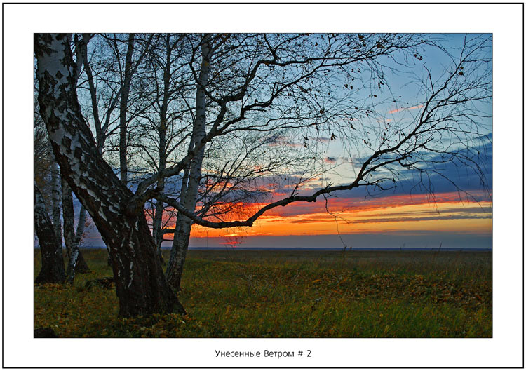 фото "Унесенные Ветром  # 2" метки: пейзаж, закат, осень