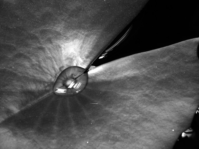 фото "pearl" метки: черно-белые, макро и крупный план, 