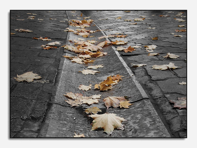 photo "Autumn tints 2" tags: landscape, autumn
