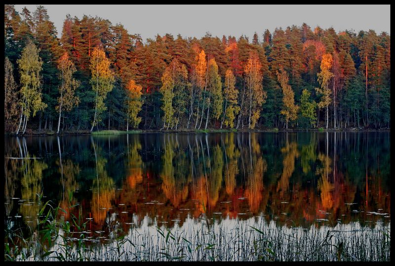 photo "Autumn colours 3" tags: landscape, autumn
