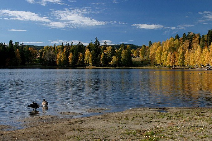 photo "over the lake" tags: landscape, autumn