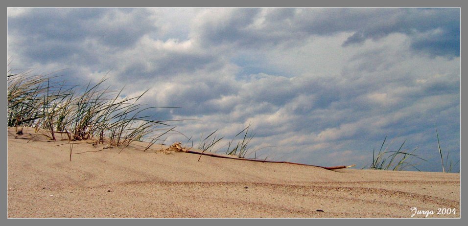 photo "dunes" tags: landscape, 