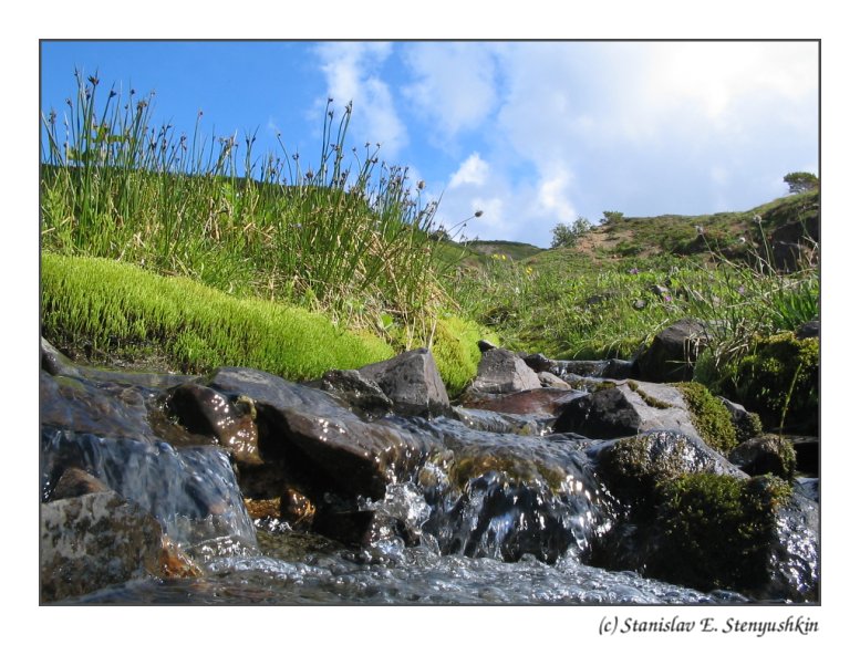 photo "Mountain streamlet #1" tags: landscape, travel, water