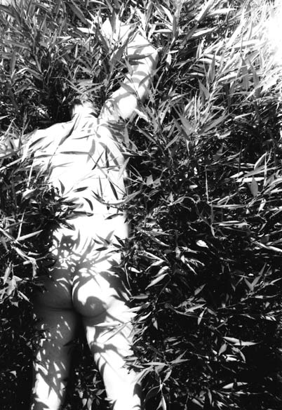 фото "In bush" метки: ню, черно-белые, 