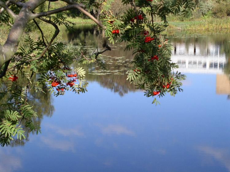 photo "Autumn reflection." tags: landscape, autumn, water