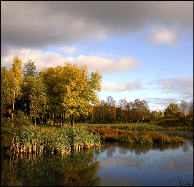 photo "Along the stream-4" tags: landscape, nature, autumn