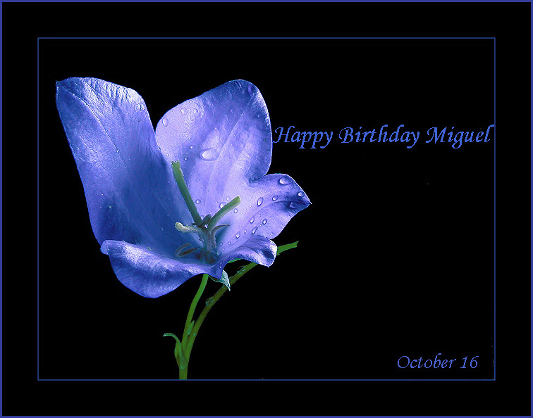 photo "Happy Birthday Miguel" tags: montage, 