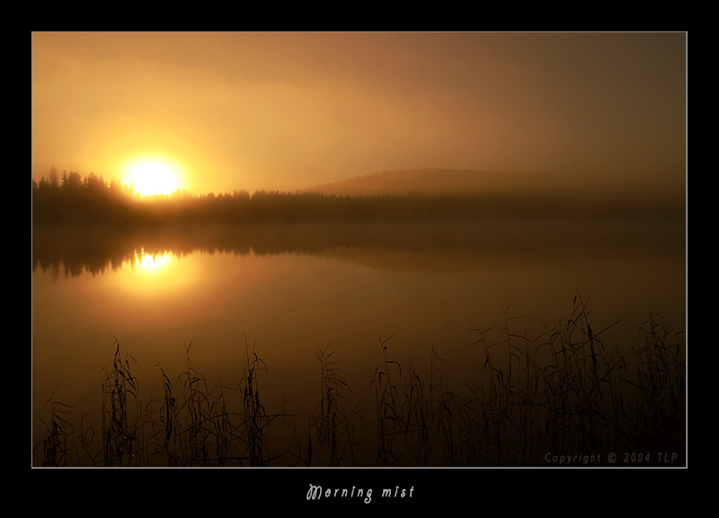 photo "Morning mist" tags: landscape, sunset, water