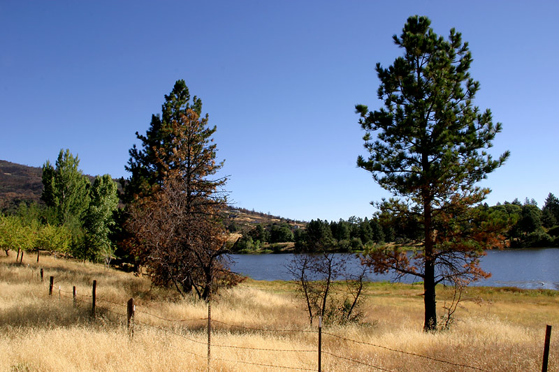 photo "Lake Cuyamaca" tags: landscape, mountains, water