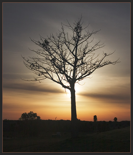 photo "Burned by Sun" tags: landscape, sunset