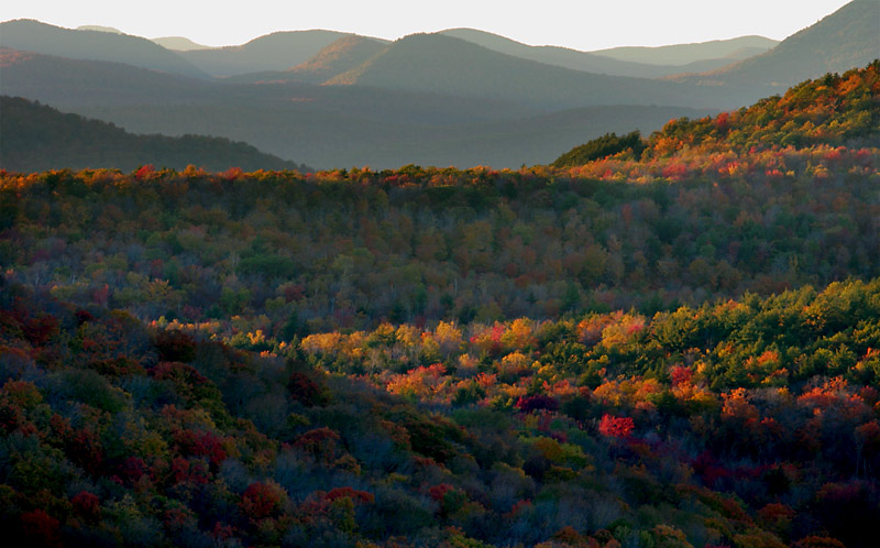photo "Adirondack Fall Light" tags: landscape, autumn, mountains