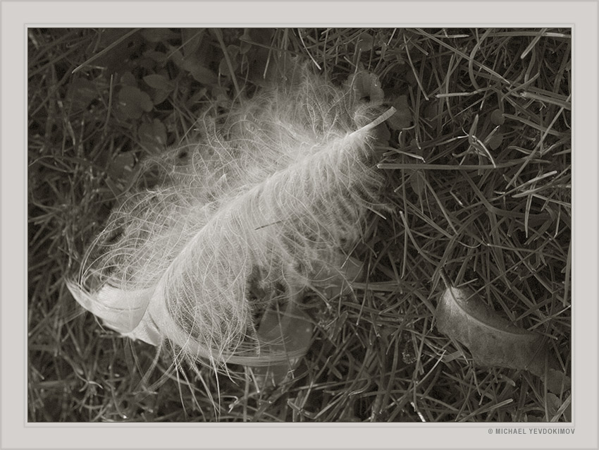 photo "You & Me II" tags: genre, 