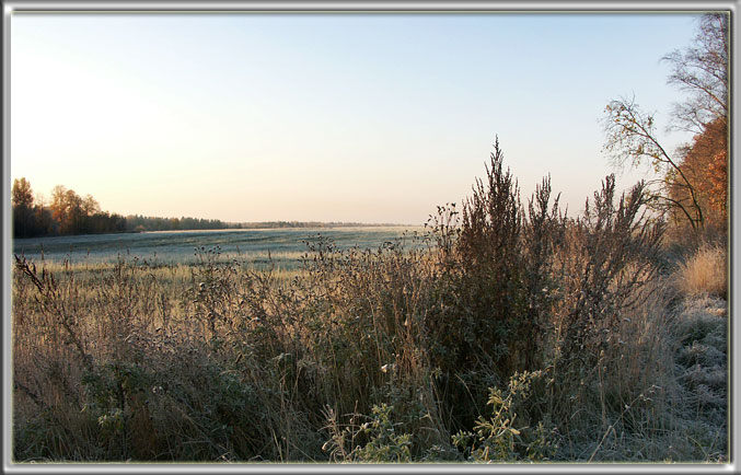 photo "Untitled photo" tags: landscape, autumn