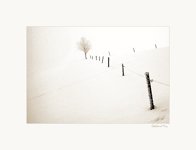 photo "white out" tags: landscape, winter