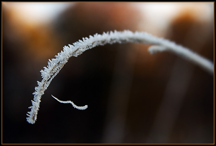 photo "In embraces of coming winter" tags: nature, landscape, autumn