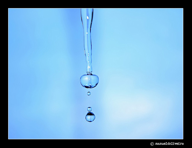photo "Drops in blue" tags: macro and close-up, 