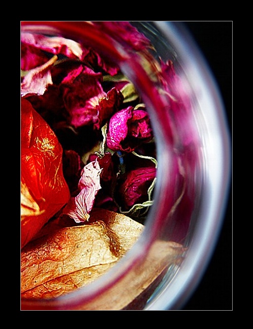 photo "colours #2" tags: still life, macro and close-up, 