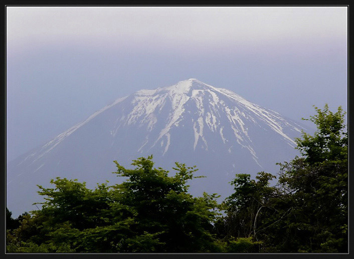 photo "vague presence of Mt.Fuji" tags: landscape, forest, mountains