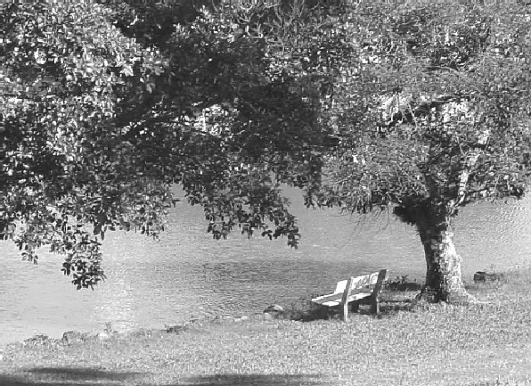 photo "peace... and water" tags: landscape, black&white, water