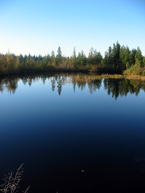 фото "Woodland pond" метки: пейзаж, осень