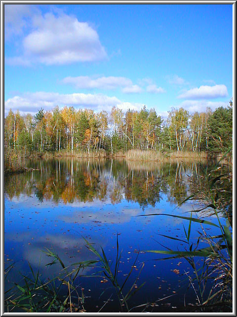 photo "Last paints of autumn" tags: landscape, autumn