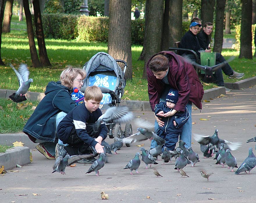 photo "Feeding of pigeons" tags: genre, 