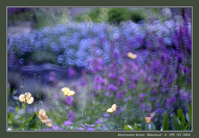 photo "Impression 4 at the NYBG" tags: nature, landscape, flowers, spring