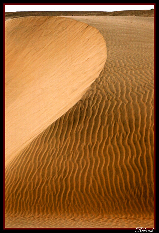 photo "Desert ornament" tags: nature, 