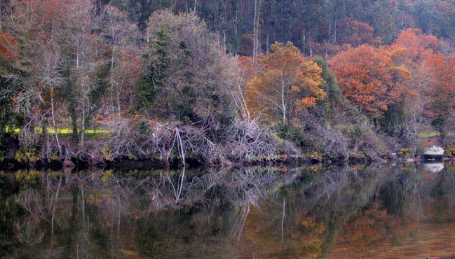 фото "Autumn" метки: разное, 