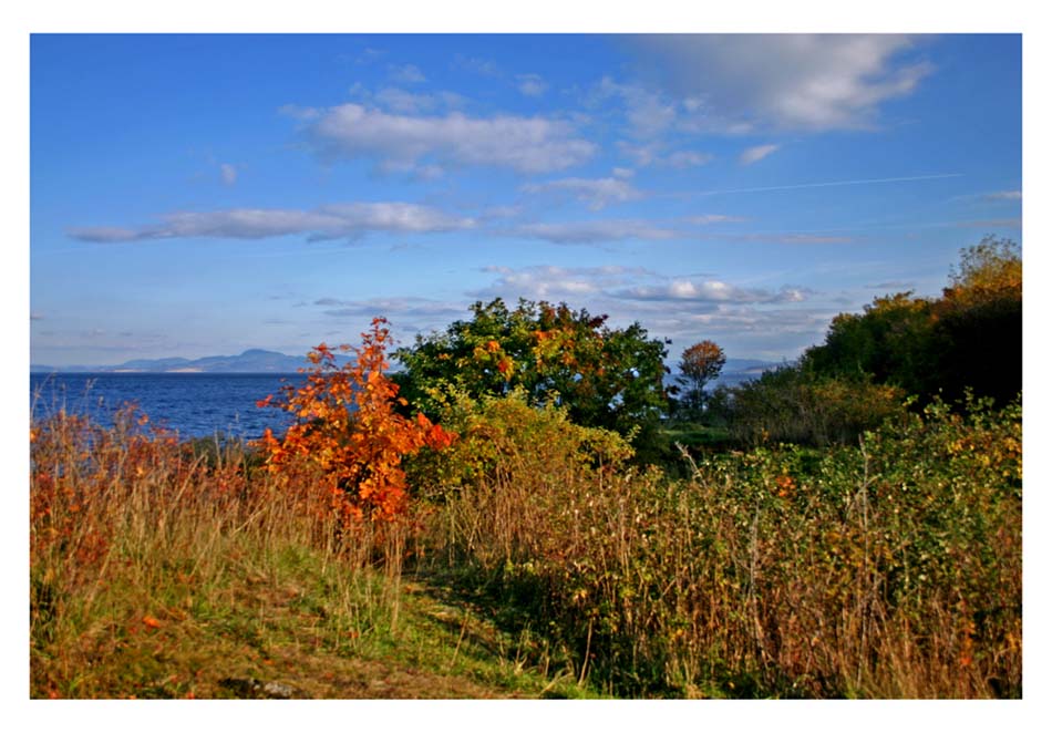 photo "Fall at Trondheim Fjord" tags: landscape, autumn