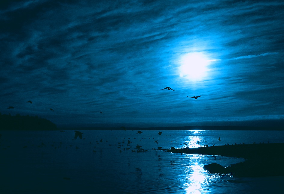 фото "Blue" метки: разное, 