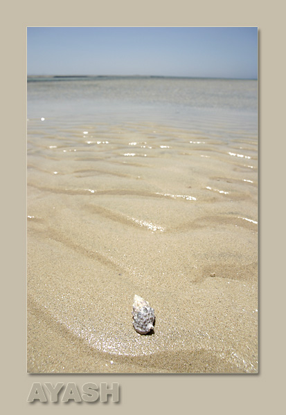 photo "On the Sea Shore !!" tags: nature, 