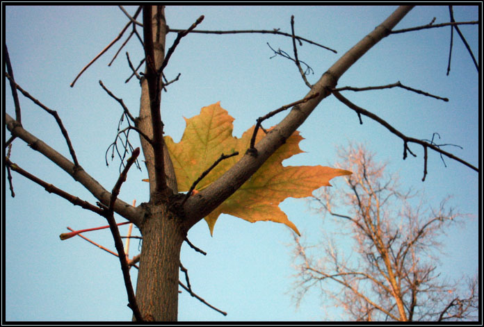 photo "No Future" tags: landscape, autumn