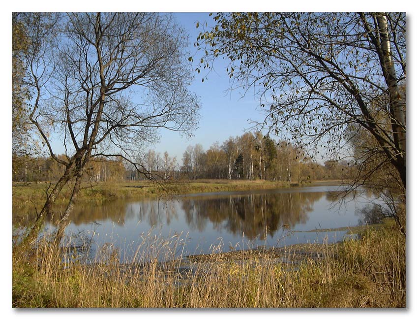 photo "The autumn" tags: landscape, forest, water