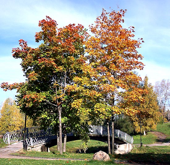 photo "*****" tags: landscape, autumn