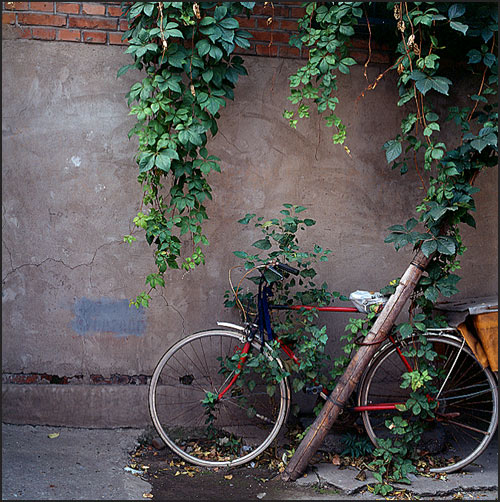 photo "Bicycle" tags: misc., 