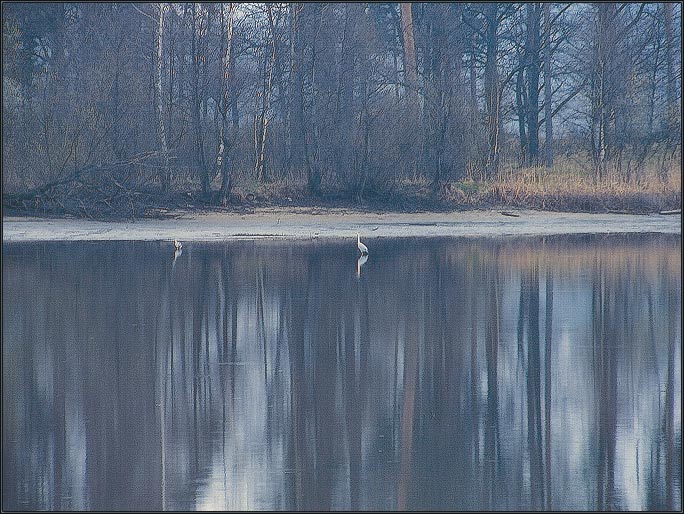 фото "Утренние грезы." метки: пейзаж, весна, вода