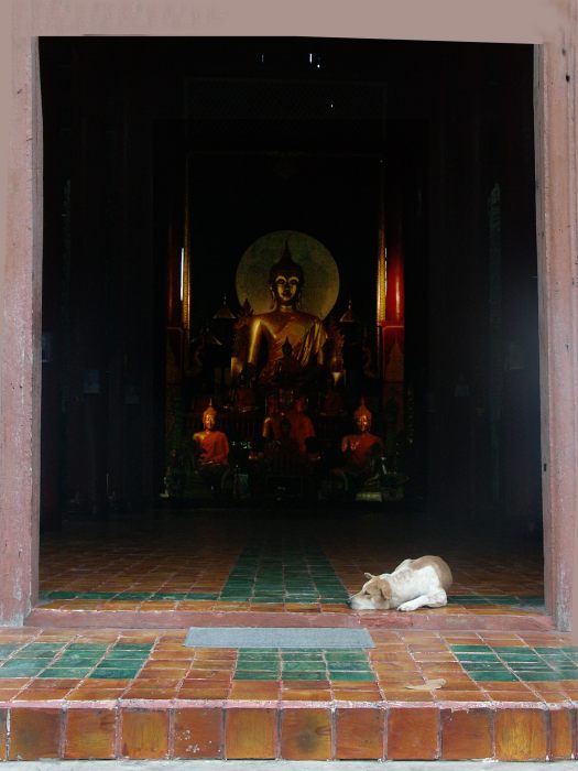 photo "Budda guardian" tags: travel, Asia