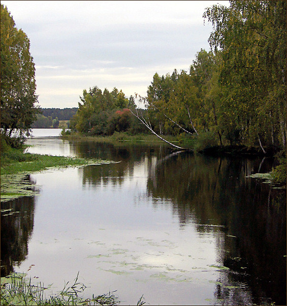 photo "Wood lake" tags: landscape, autumn, water