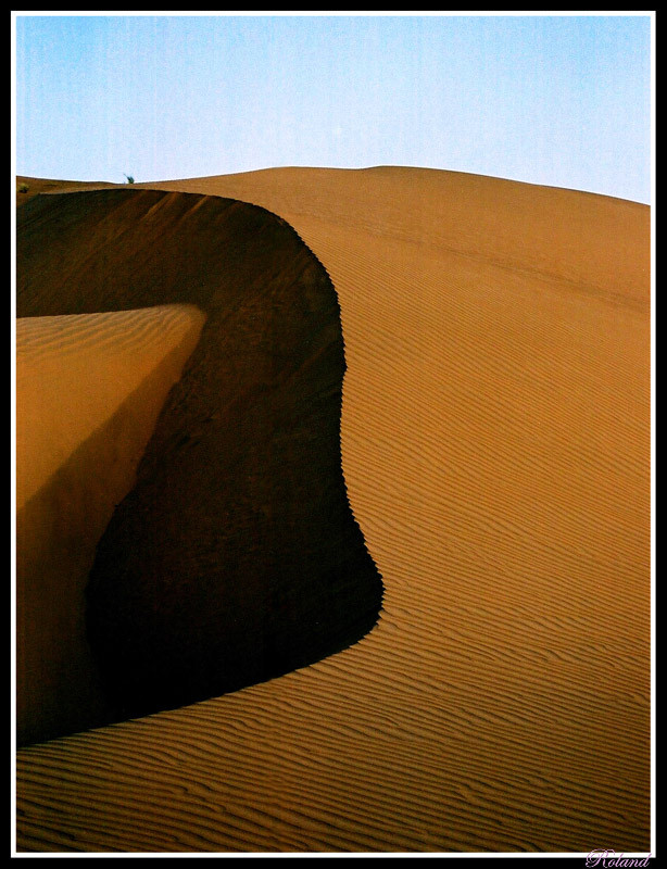 фото "Ornaments of great Thar desert" метки: пейзаж, 