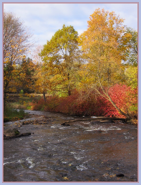 photo "Autumn palette" tags: landscape, autumn