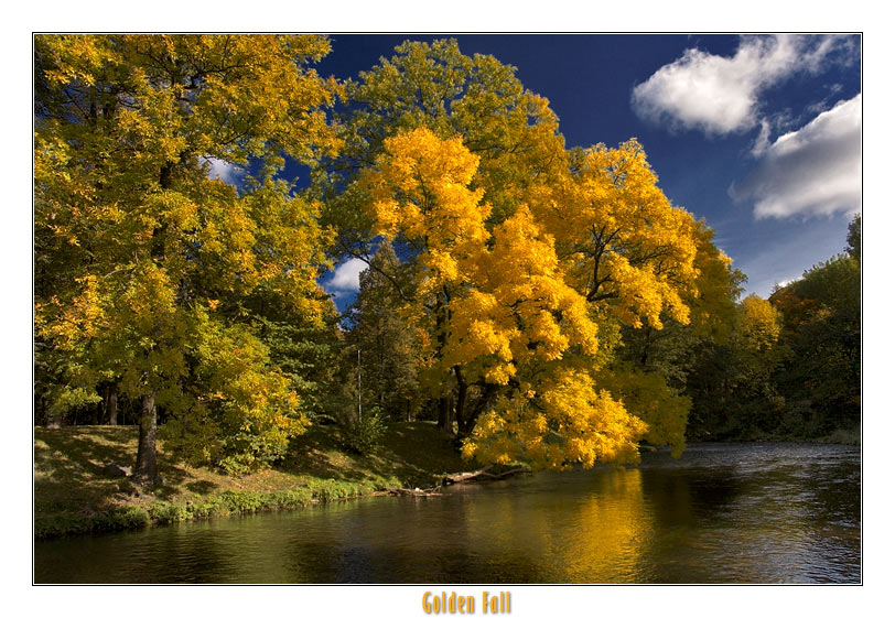 фото "Golden fall" метки: пейзаж, осень