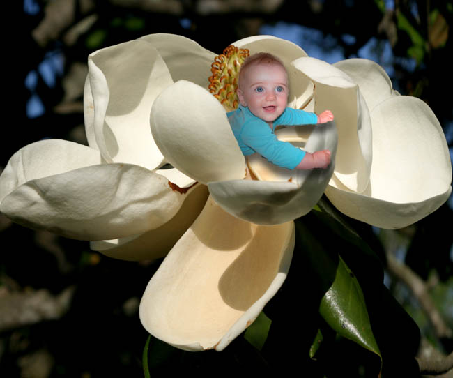 photo "baby playing in the garden" tags: montage, 