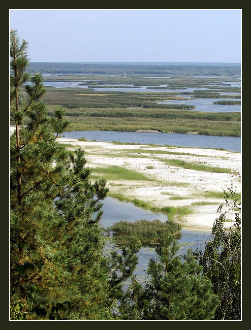 photo "Green Planet" tags: landscape, summer