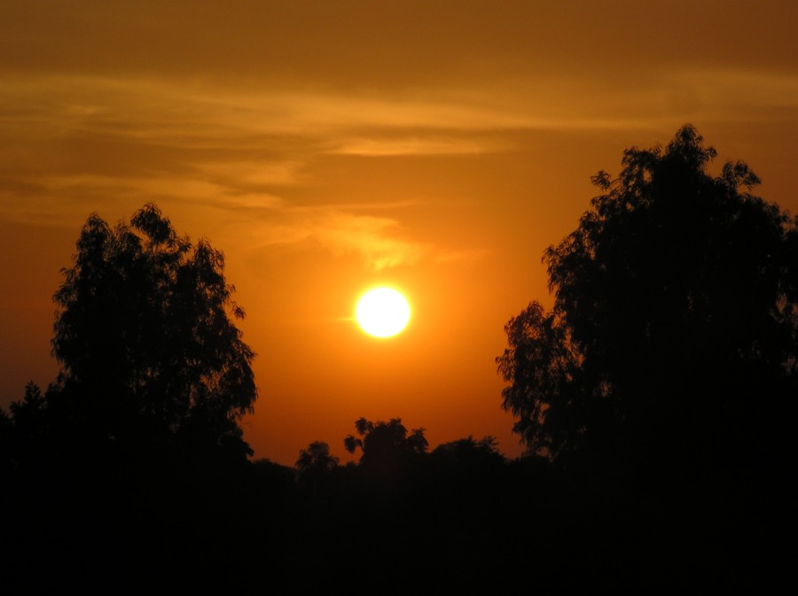 photo "beautiful sun" tags: landscape, winter
