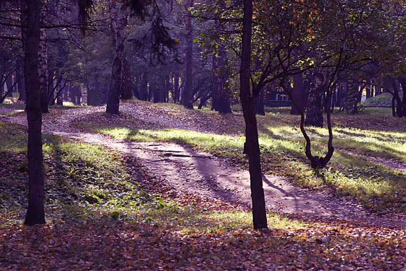 photo "Fairy-tale forest" tags: landscape, autumn, forest