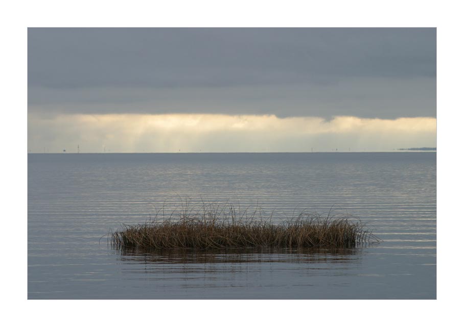 фото "Финский залив" метки: пейзаж, вода, осень
